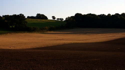 Field 1301
