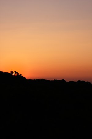 Sunset 1346